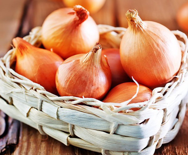 KALİTE STANDARTLARIMIZ